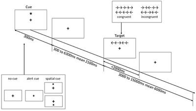 Alerting, Orienting, and Executive Control: The Effect of Bilingualism and Age on the Subcomponents of Attention